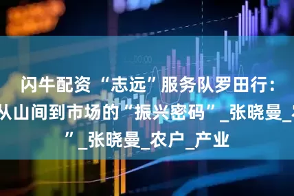 闪牛配资 “志远”服务队罗田行：解锁板栗从山间到市场的“振兴密码”_张晓曼_农户_产业